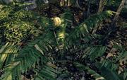 Crysis Warhead: Benchmark-Special und Screenshots in maximaler Grafikpracht