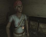 Drei Fragen an den Tester - Heute: Robert Horn über Far Cry 2