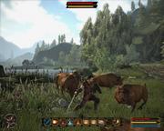 Gothic 3: Götterdämmerung: JoWood veröffentlicht offiziellen Patch
