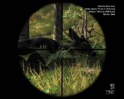 Gegenstand der Diskussion - Schießen auf Wildtiere im Spiel ist verwerflich! Ja / Nein?