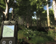 The Hunter: Die Landschaft ist unglaublich detailliert gestaltet. Egal ob dichte Wälder...