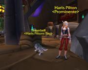 Haris Pilton in WoW. Auch Tinkerbell ist mit dabei.