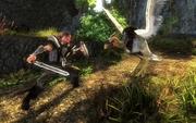 Risen: Haben Sie die Demo und das eigentliche Spiel gespielt? (5)