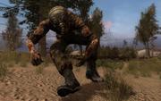 S.T.A.L.K.E.R.: Call of Pripyat soll noch in diesem Jahr auf den Markt gelangen.