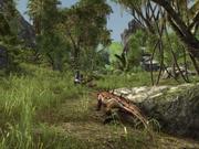 Einer der neuen Screenshots zu Arcania: A Gothic Tale (Gothic 4) vom 07.06.2009.