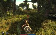 Screenshots aus dem Rollenspiel Risen. (2)