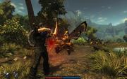 Screenshots aus dem Rollenspiel Risen. (1)