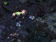 Starcraft 2-Betatest offiziell gestartet.