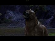 Der Mabari-Hund aus Dragon Age: Origins.