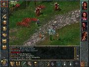 Baldur's Gate