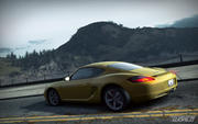 Need for Speed World soll im Sommer 2010 erscheinen.