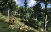 The Hunter bietet nicht nur eine fantastische Grafik sondern ist eine realistische Jagdsimulation.