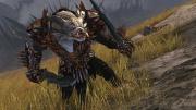 Wartower, Buffed und PC Games zeigen mehr als zehn Minuten Gameplay aus Guild Wars 2.