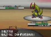 Pokémon Black and White