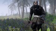 Der Ninja spielt eine wichtige Rolle in Total War: Shogun 2. Mit ihm können Sie ganze Armeen oder Städte sabotieren.