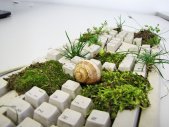 Artikel Vorschau Bild