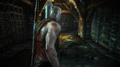 Gamescom 2010: Preview-Video zu The Witcher 2 erschienen. (1)