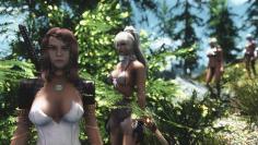 Skyrim auf einem Testsystem mit Intels Ivy Bridge-CPU im Praxis.-Test.