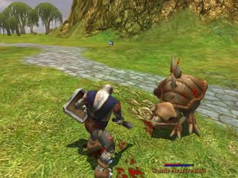 Bild 1 zu Asheron's Call 2