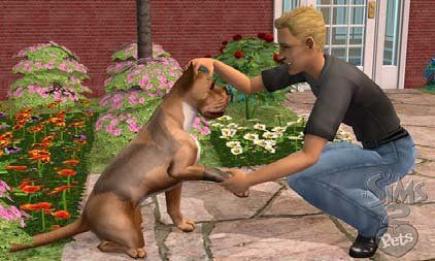 Bild 1 zu Die Sims 2: Haustiere