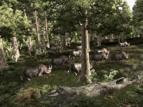 PC Games vor 5 Jahren: Gleich am Release-Tag soll ein Patch zu Gothic 3 erscheinen.