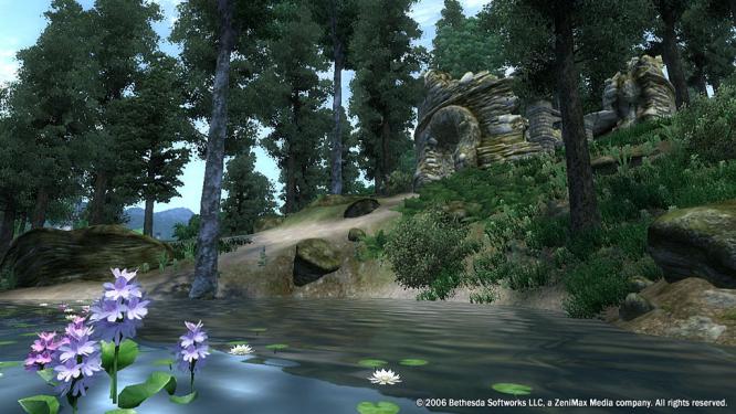 Trotz diverser technischer Mängel wurde The Elder Scrolls 4: Oblivion ein Riesenerfolg. Ein alsbald folgendes Sequel erschien da eigentlich nur logisch. Sogar Details zur möglichen Hintergrundstory waren bereits unfreiwillig an die Öffentlichkeit gelangt: Demnach sollte TES 5 etwa 200 Jahre nach den Oblivion-Ereignissen spielen. 