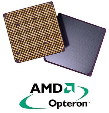 AMDs Server-Prozessor Opteron - einer der Umsatzbringer für die Nummer 2 nach Intel 