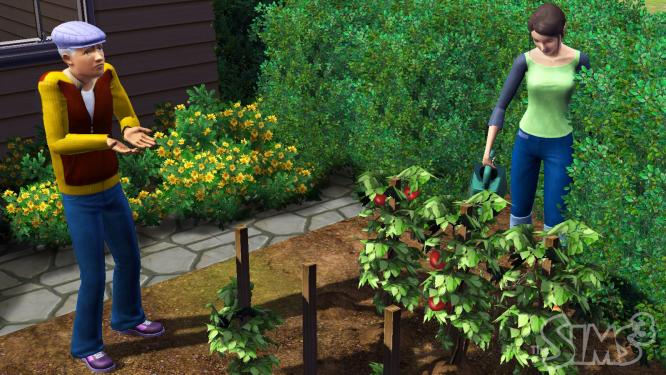 Zu Die Sims 3 gibt es mit den Design-Garten-Accessoires neue Objekte für das virtuelle Grün. Den Launch-Trailer präsentieren wir Ihnen an dieser Stelle.