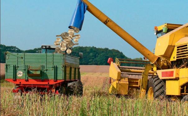 Für das junge Entwicklerstudio war der Landwirtschafts-Simulator 2008 der Schlüssel zum Erfolg. Ein Nachfolger ist bereits in Arbeit.
