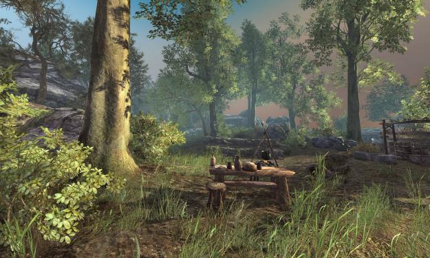 Im Interview klären die Entwickler auch über die verwendete Middleware von Arcania: A Gothic Tale auf.