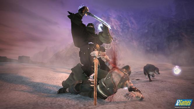 Laut Mike West von Lionhead wird es auch in naher Zukunft keine PC-Version von Fable 2 geben. Derzeit sei man schlichtweg mit anderen Projekten beschäftigt. (5)