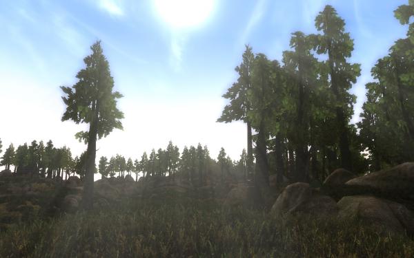 Der 3D Center-User BlackF0g hat uns im PC Games-Forum darauf aufmerksam gemacht, dass er weitere Screenshots aus The Elder Scrolls: Morrowind mit Mods erstellt hat. Diese zehn neuen Bilder gibt's ab sofort auch hier zu sehen. Haben Sie Fragen dazu? Stellen Sie diese im Kommentarbereich, denn BlackF0g treibt sich nicht nur im 3D Center Forum um, er stattet auch pcgames.de und vor allem diesem Thread hier regelmäßig einen Besuch ab.