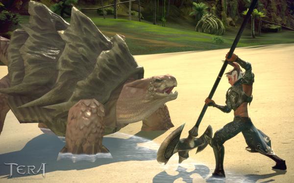 Neue Screenshots zu Tera: The Exiled Realms of Arborea. 