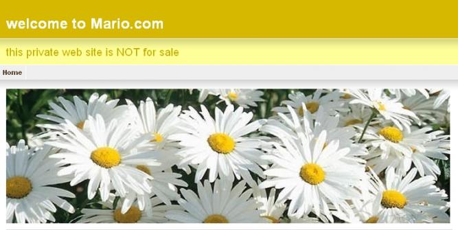 Far Cry? Gibt's hier nicht! - Spiele-Websites, die nicht halten was sie versprechen
