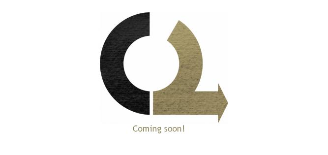Unter der Domain openleaks.org ist bereits das Zeichen der Plattform zu sehen. Zusammen mit dem Schriftzug 'Coming Soon'.