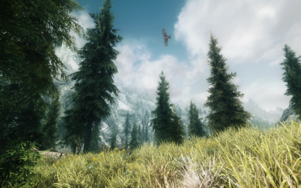 Ab sofort ist das Creation-Kit für Skyrim verfügbar, HD-Texturen sind als Überraschung für alle PC-Spieler an Bord sein. Alle Infos gibt es auf pcgames.de. (2)