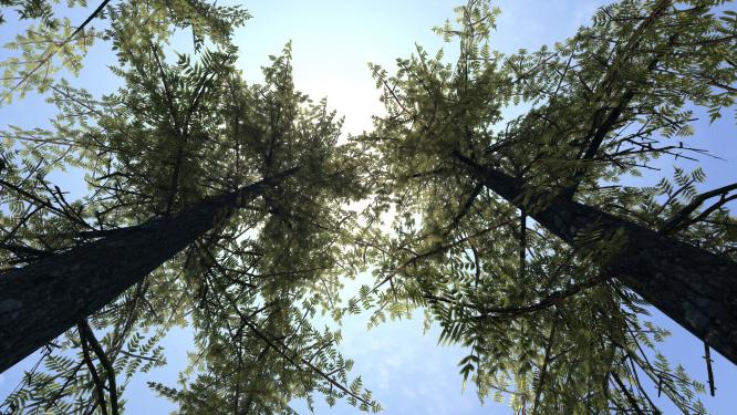 Der Modder will sich um die Löcher kümmern, die andere Skyrim-Retex-Mods hinterlassen.