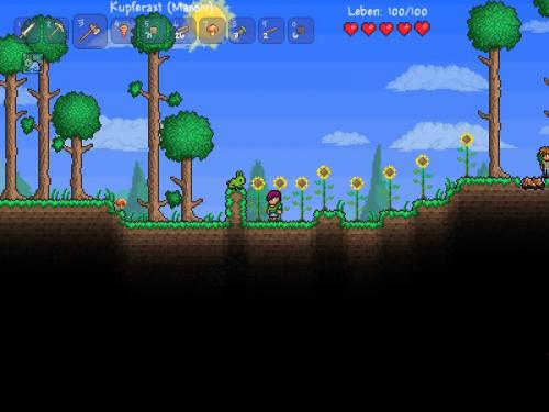 Der grüne Hase wird in der Collector's Edition von Terraria enthalten sein. Weiter unten im Artikel könnt ihr den vollen Umfang der Box sehen. 
