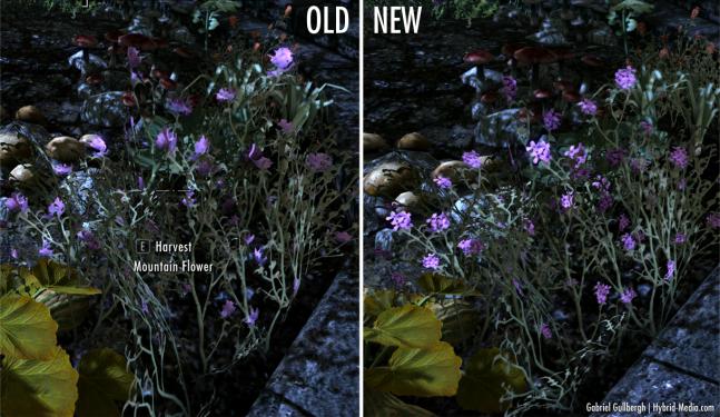 Schönere Plfanzen in Skyrim? Diese Mod macht es möglich.