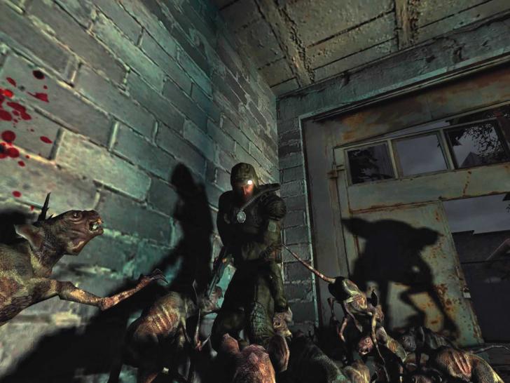 [20/02/06] Wo Hygiene fehlt, erobern Ratten die leerstehenden Gebäude. Und die Tierchen sind erstaunlich groß und aggressiv. 