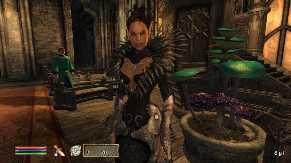 [08/02/07] Screenshot aus dem Add-on The Elder Scrolls 4: Shivering Isles.