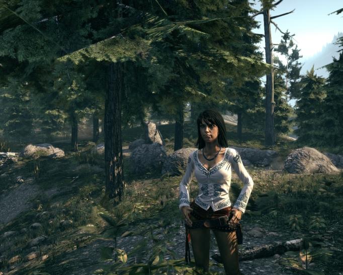 [29/06/09] Die Call of Juarez-Spieler fühlen sich von Ubisoft allein gelassen.