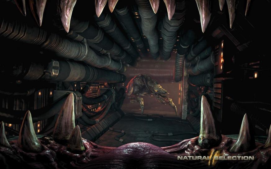 [01/11/09] Erste InGame-Screenshots zu Natural Selection. (1)