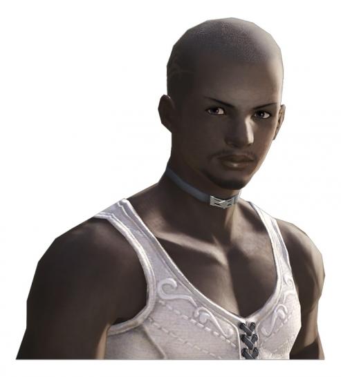 [30/03/10] Heute hat uns wieder umfangreiches Bildmaterial zum nächsten Final Fantasy-MMORPG erreicht. Zu sehen sind zahlreiche Charaktere, die auch im fertigen Spiel anzutreffen sein werden. Wie bei vielen Titeln aus japanischer Produktion ist das Erscheinungsbild derselben mitunter durchaus gewöhnungsbedürftig für westlich geprägte Spieler.   Final Fantasy 14 (1)