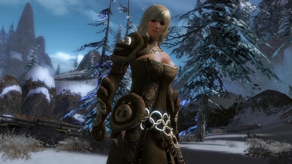 [15/07/10] Guild Wars 2 will das MMORPG-Genre ordentlich aufmischen.