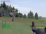 Operation Flashpoint Beta-Patch v1.29