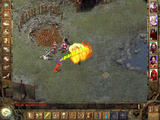 Icewind Dale - Herz des Winters - Kurztipp
