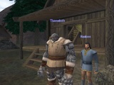 Massenbegeisterung: Dark Age of Camelot