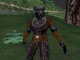 Everquest: Shadows of Luclin - Charakterliches