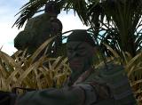 QuakeCon: Soldier of Fortune 2 - Status, Termin, Level-Vorschau